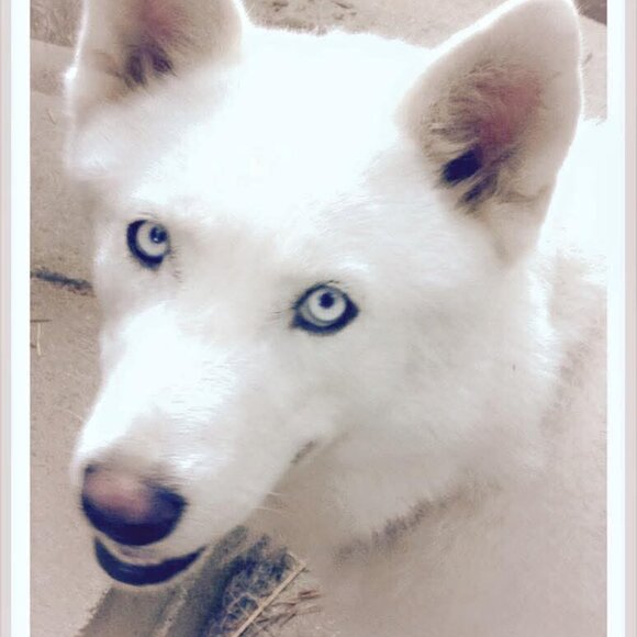 Meet your Posher, Joan - Picture 8 of 15